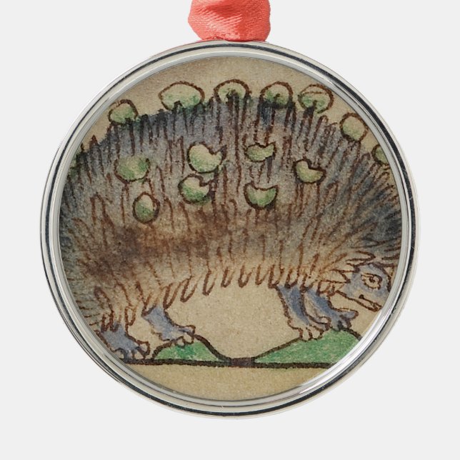 Ornamento De Metal Ouriço Azul-footed adorável (Frente)