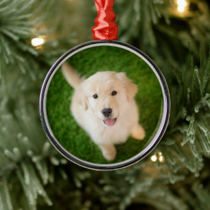 Ornamento De Metal Ouro - Retirador de Puppy com Grass