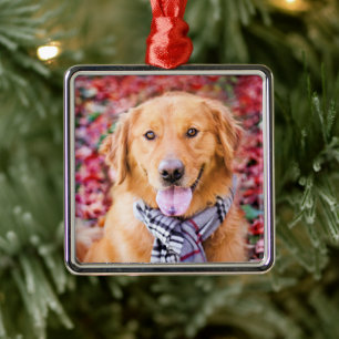 Ornamento De Metal Ouro Retriever Em Scarf