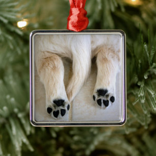 Ornamento De Metal Ouro Retriever Puppy Toes