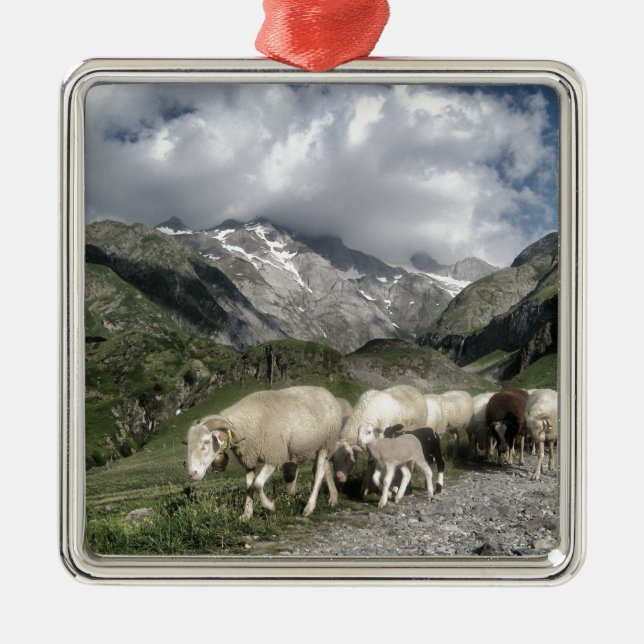 Ornamento De Metal paisagem de pirenéus (Frente)