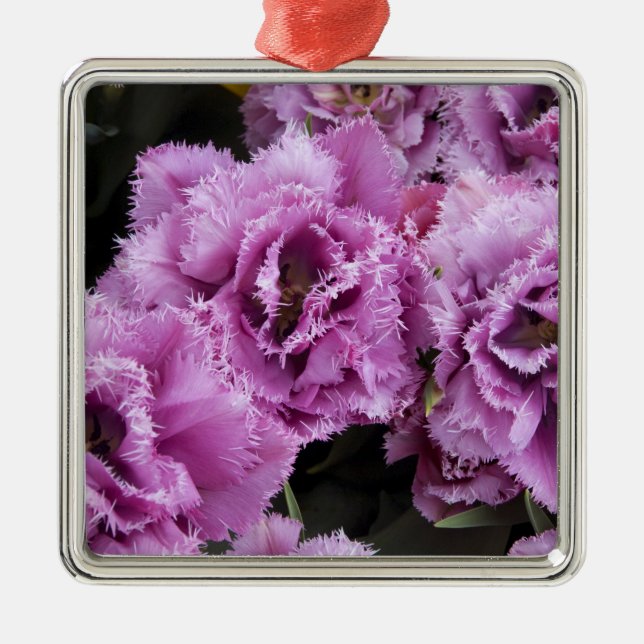 Ornamento De Metal Países Baixos (também conhecidos por Holland), Lis (Frente)