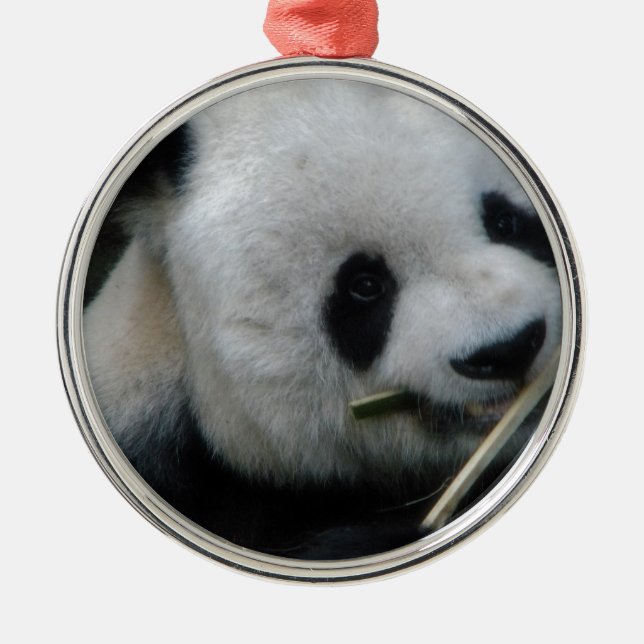 Ornamento De Metal Panda (Frente)