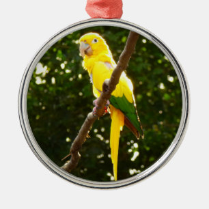 Ornamento De Metal Papagaio Amarelo