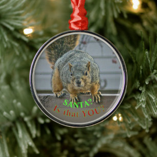 ORNAMENTO DE METAL "PAPAIS NOEIS, É VOCÊ?" SQUIRREL ORNAMEN DE OLHOS 