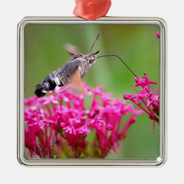 Ornamento De Metal Papel de empacotamento (Frente)