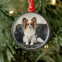 Papillion Acrylic Photo Tile