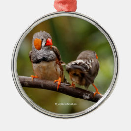 Ornamento De Metal Par Cheio de Zebra Finch Songbird