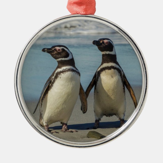 Ornamento De Metal Par de pinguins na praia (Frente)