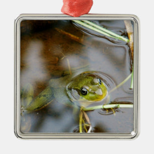 Ornamento De Metal Para fora para algum ar fresco