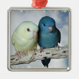 Ornamento De Metal Pares do parakeet de Lineolated