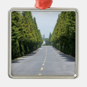 Ornamento De Metal Parque nacional dos EUA, Yellowstone, estrada