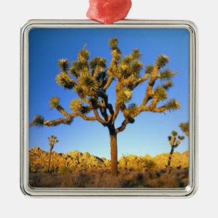 Ornamento De Metal Parque Nacional Joshua Tree, Califórnia. EUA.