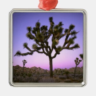 ORNAMENTO DE METAL PARQUE NACIONAL JOSHUA TREE, CALIFÓRNIA. EUA.