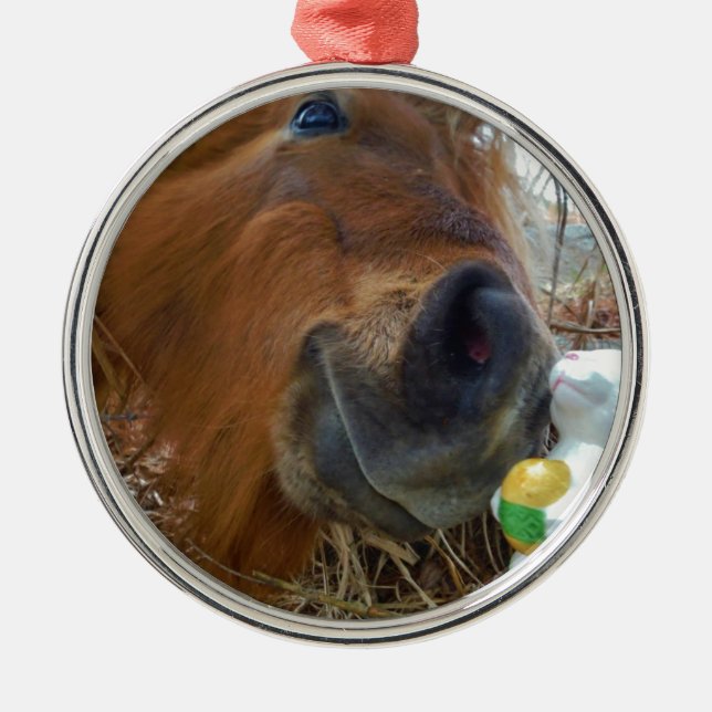 Ornamento De Metal Páscoa Bunny e Cavalo Marrom (Frente)