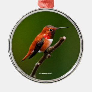 Ornamento De Metal Pássaro Hummingave Rufo e Atormentante na Árvore