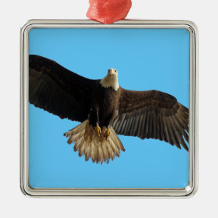 Ornamento De Metal Pássaro voador da águia careca na arte das presas