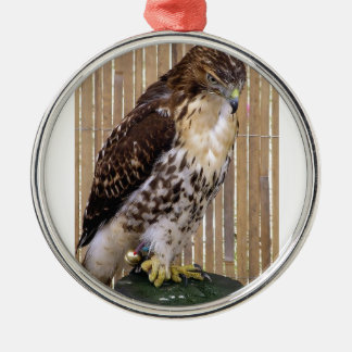 Ornamento De Metal Pássaros selvagens: Falcão Vermelho-Atado
