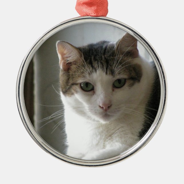 Ornamento De Metal Paul (Frente)