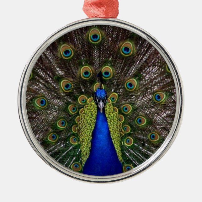 Ornamento De Metal Peacock Feather Display Photo (Frente)