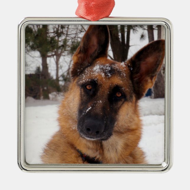 Ornamento De Metal Pedido de Feriado do german shepherd (Frente)