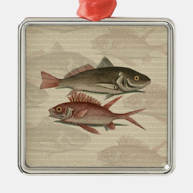Ornamento De Metal Peixe Red Perch Pescador Art (Frente)