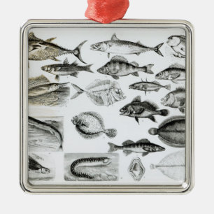 Ornamento De Metal Peixes ósseos dos ictiologias