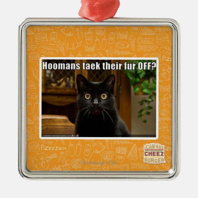 Ornamento De Metal Pele de Hoomans Taek lá FORA? (Frente)