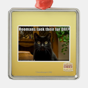 Ornamento De Metal Pele de Hoomans Taek lá FORA?