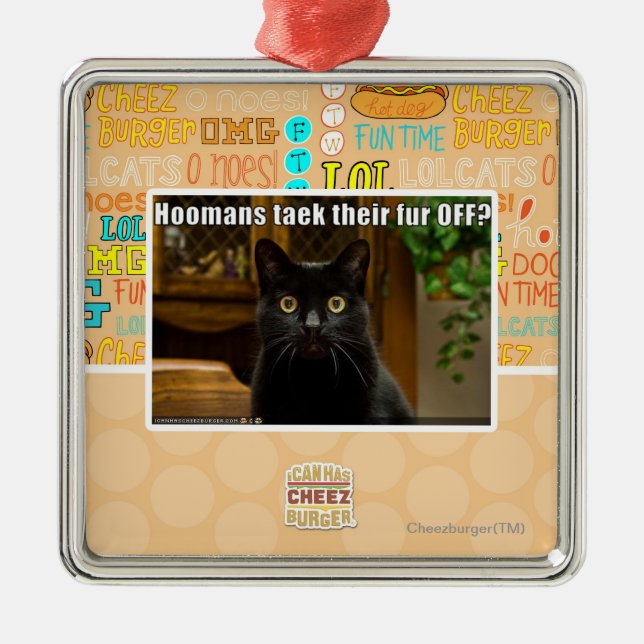 Ornamento De Metal Pele de Hoomans Taek lá FORA? (Frente)