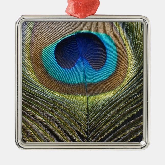 Ornamento De Metal Pena de Peacock Dramática (Frente)