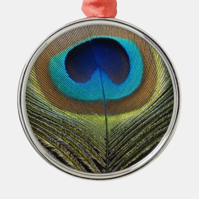 Ornamento De Metal Pena de Peacock Dramática (Frente)