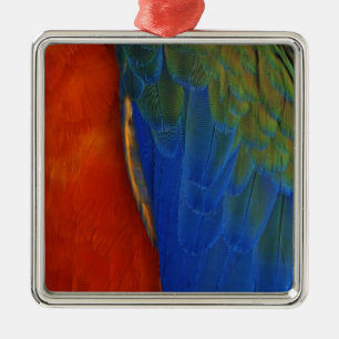 Ornamento De Metal Penas de Macaw