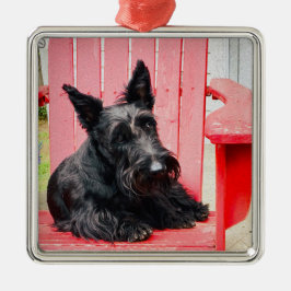 Ornamento De Metal Pequeno Scottie em uma Grande Cadeira Vermelha