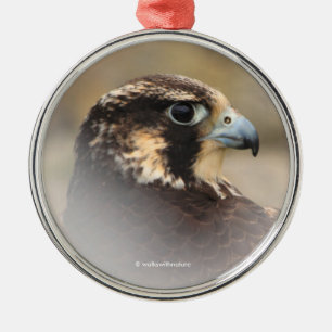 Ornamento De Metal Perfil Vignetado de um Falcão Peregrino