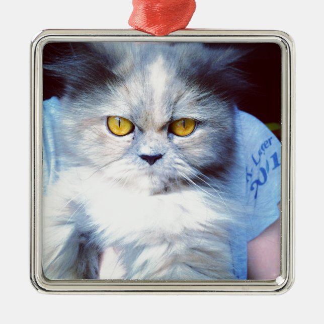 Ornamento De Metal persian cat 5 (Frente)