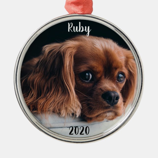 Ornamento De Metal Personalizado Ruby Cavalier King Charles Spaniel (Frente)