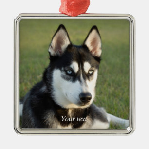 Ornamento De Metal Personalize o retrato do filhote siberiano Husky