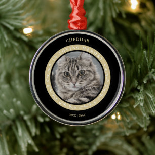 Ornamento De Metal Pet Cat Foto Ornamental Lembrando Um Amado