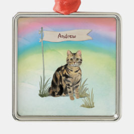 Ornamento De Metal Pet Cat Tabby de Nome Personalizado