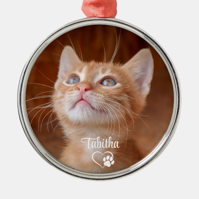 Ornamento De Metal Pet Photo (Frente)