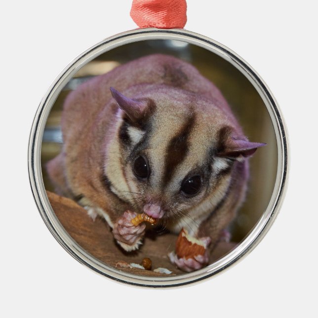 Ornamento De Metal Pet Sugar Glider (Frente)
