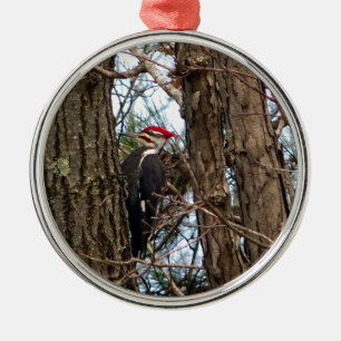 Ornamento De Metal Pica-Pau Pileado Masculino