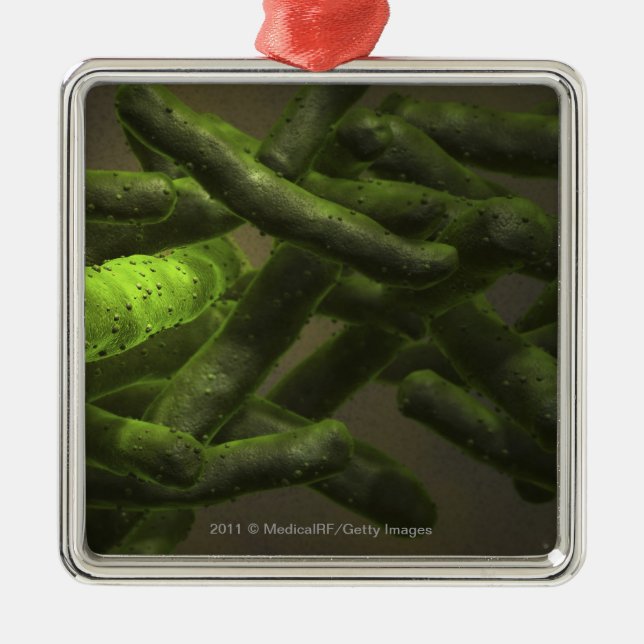 Ornamento De Metal Pilhas da tuberculose de Mycobacterium (Frente)