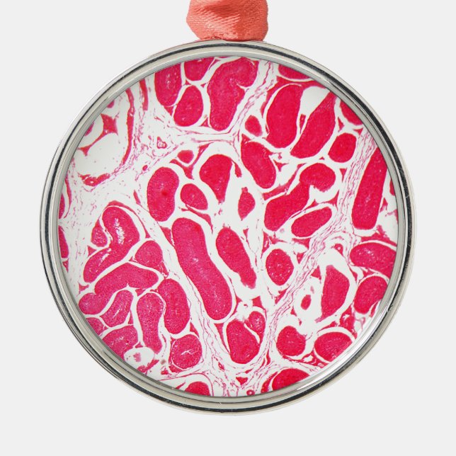 Ornamento De Metal Pilhas do testículo sob o microscópio (Frente)