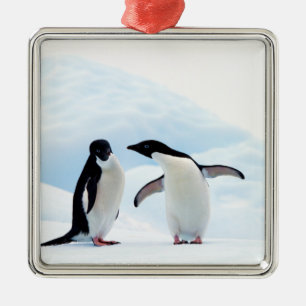 Ornamento De Metal Pinguins Adelie