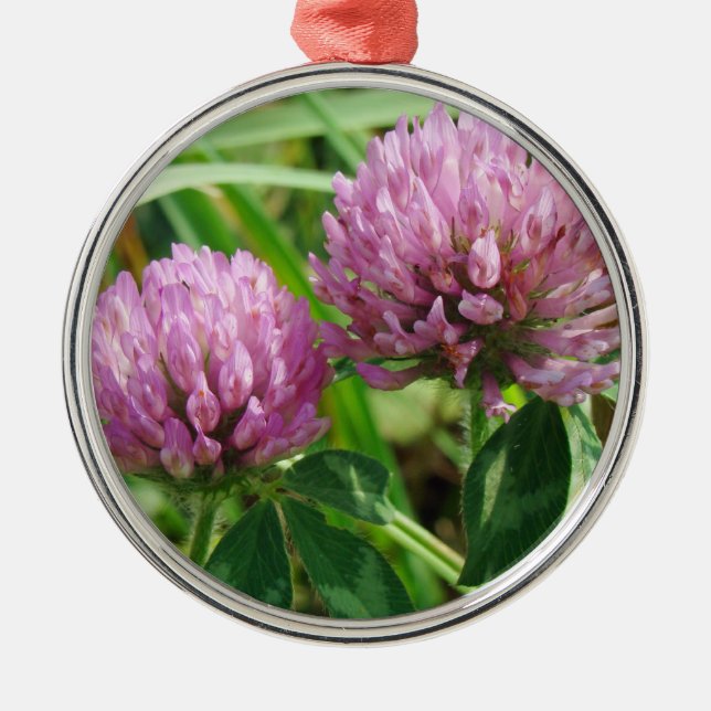 Ornamento De Metal Pink Clover Wildflower - Trifolium pratense (Frente)