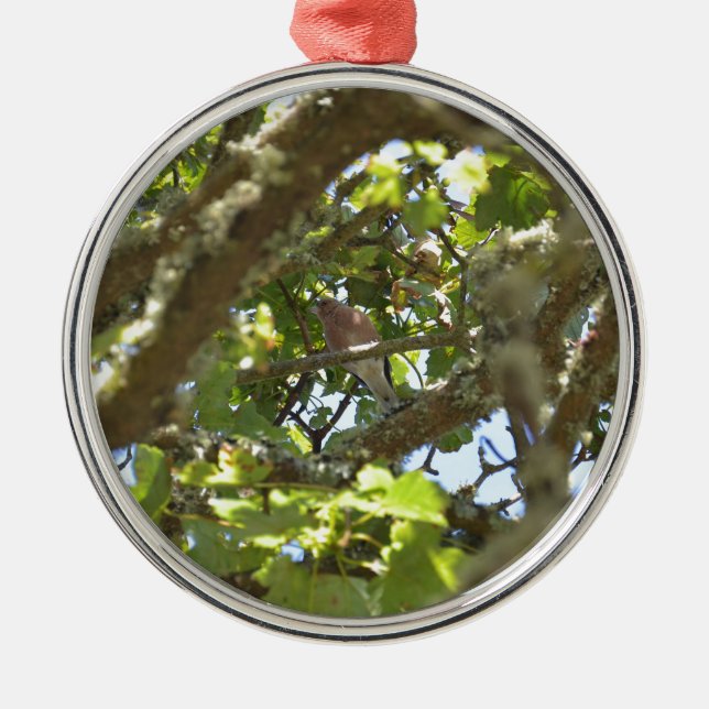 Ornamento De Metal Pintassilgo-real (Frente)