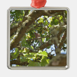 Ornamento De Metal Pintassilgo-real