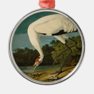 Ornamento De Metal Pintura de pássaros Audubon Crane Whoping